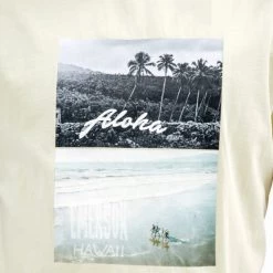 Καλύτερες κριτικές για ✔️ T-Shirts | Μπλούζα κοντό μανίκι Emerson Ανδρική Μπλούζα LIME ⭐ -Εξοδος emerson Κατάστημα emerson men s s s t shirt 152